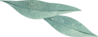 double_leaves.png double_leaves.png